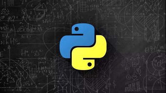 Python在企業(yè)軟件開發(fā)中的應(yīng)用與選擇指南